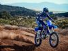 2021 Yamaha YZ250F Gallery 2